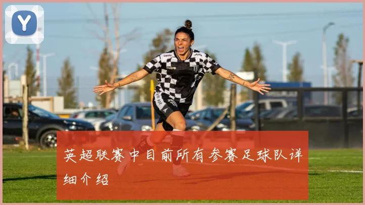 英超联赛中目前所有参赛足球队详细介绍