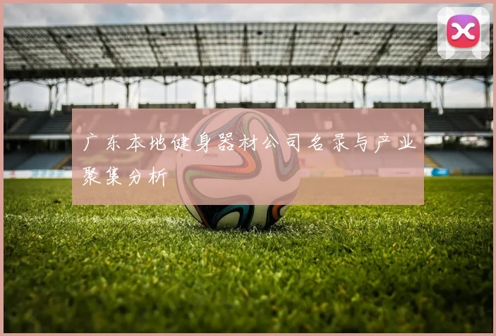 广东本地健身器材公司名录与产业聚集分析