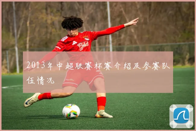 2013年中超联赛杯赛介绍及参赛队伍情况