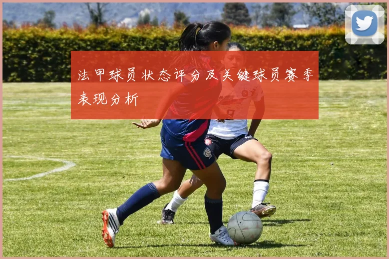 法甲球员状态评分及关键球员赛季表现分析