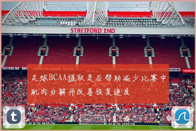 足球BCAA摄取是否帮助减少比赛中肌肉分解并改善恢复速度