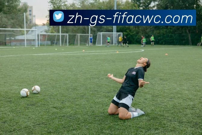 世界杯在线观看平台生态图