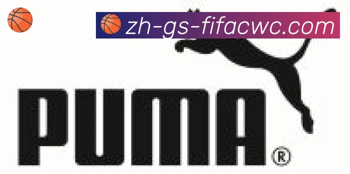 世界杯在线观看合作伙伴